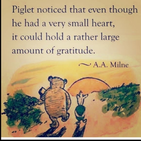 Tiger Woods WORLD GOLF CHAMPIONSHIP CAP  Bellerive 2011  RARE 9-11 Event - Picture 6 of 16